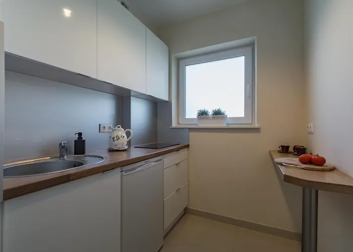 Zygmuntowka 民宿 *